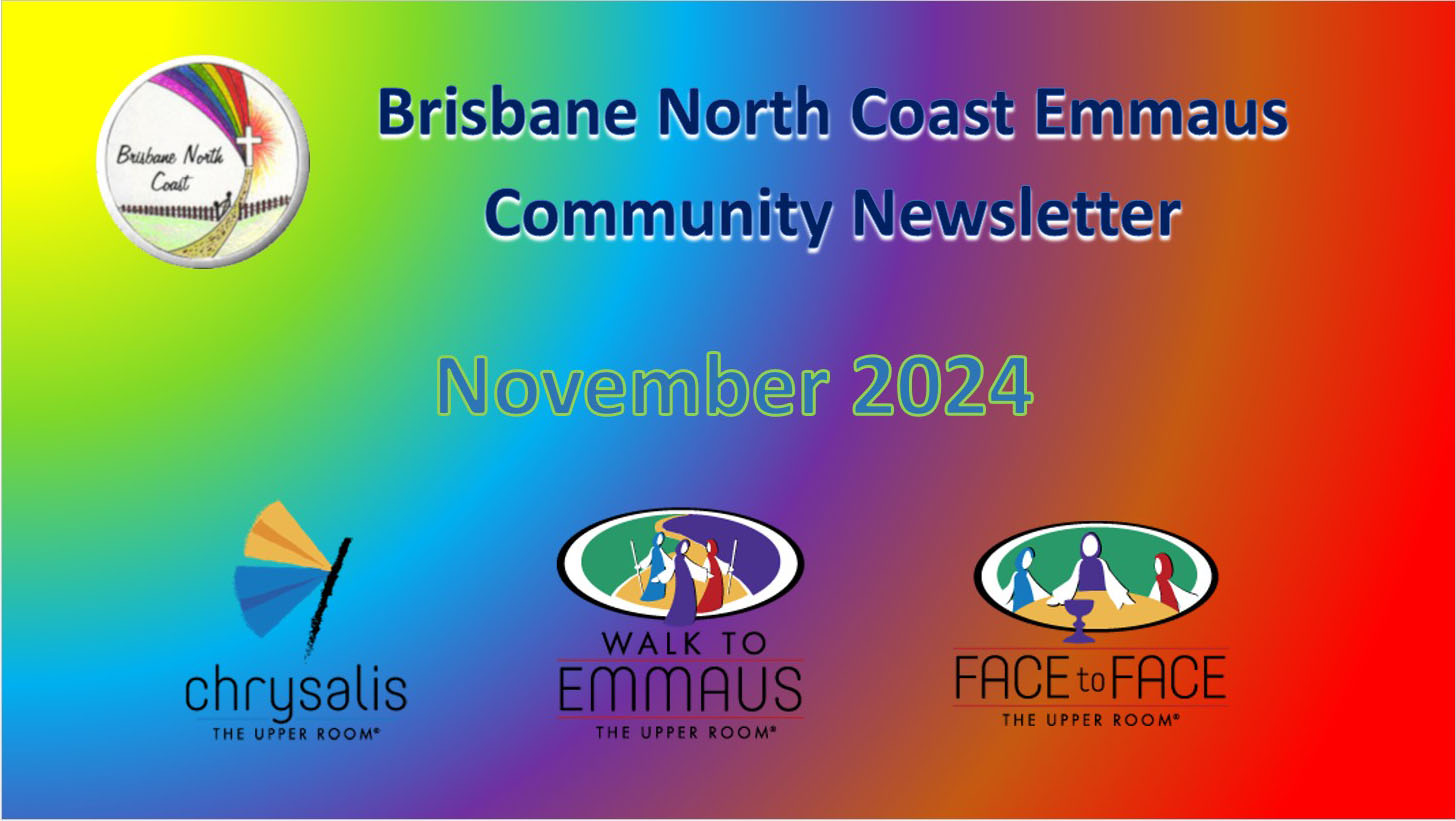 Newsletter - November 2024